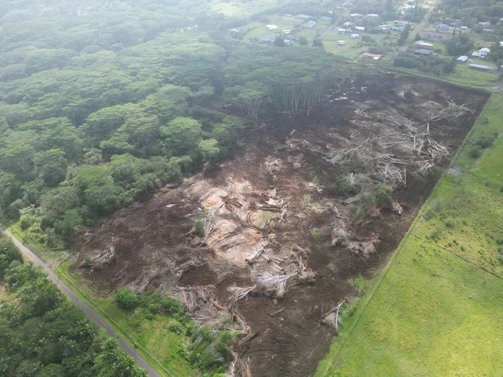 Land cleared and prepared for development